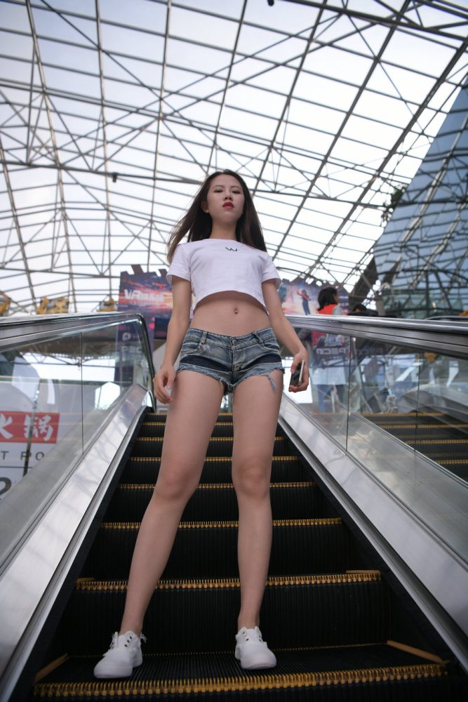 J1220 288P8V-10.0GB-玉兔阁