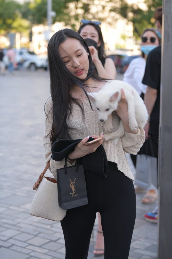 抱着小狗的漂亮女孩 J2106 136P-3.25GB-玉兔阁